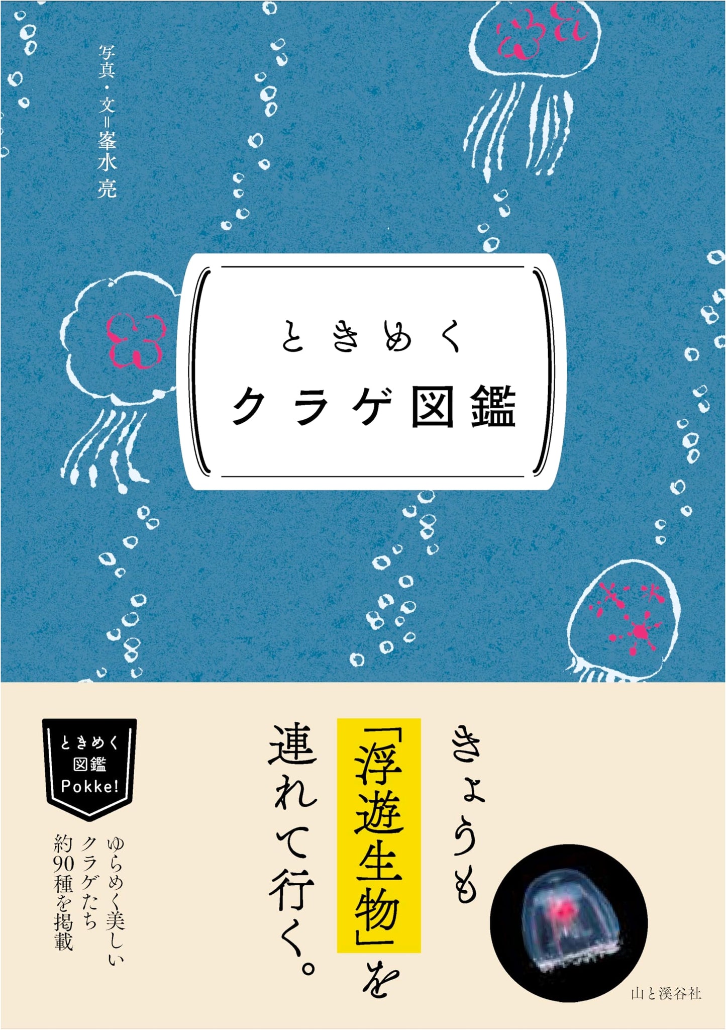 Pokke! Sparkling Illustrated Guide: Thrilling Jellyfish Encyclopedia