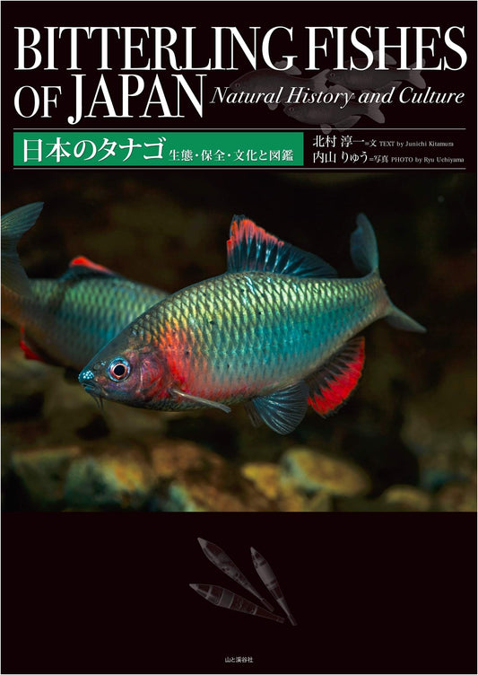 Bitterlings of Japan: Ecology, Conservation, Culture and Illustrated Guide by Junichi Kitamura
