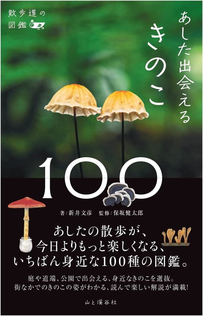 Illustrated Encyclopedia of Walking Paths: 100 Mushrooms You Might Meet Tomorrow