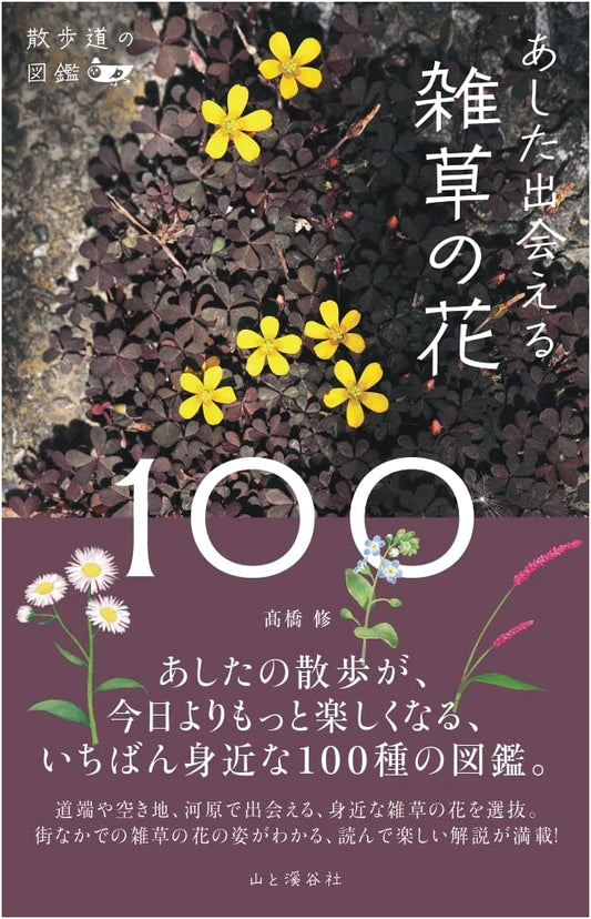 A Field Guide to Walking Path Wildflowers: 100 Blossoms to Discover