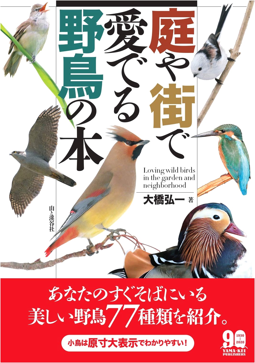 Wild Birds in Gardens and Cities: A Guide to Enjoying Nature