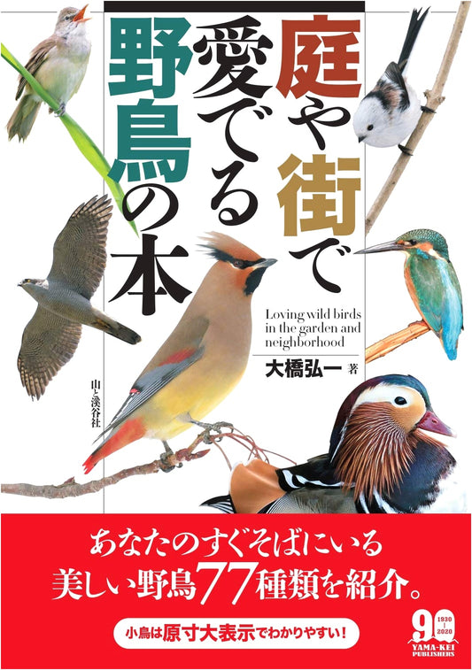 Wild Birds in Gardens and Cities: A Guide to Enjoying Nature