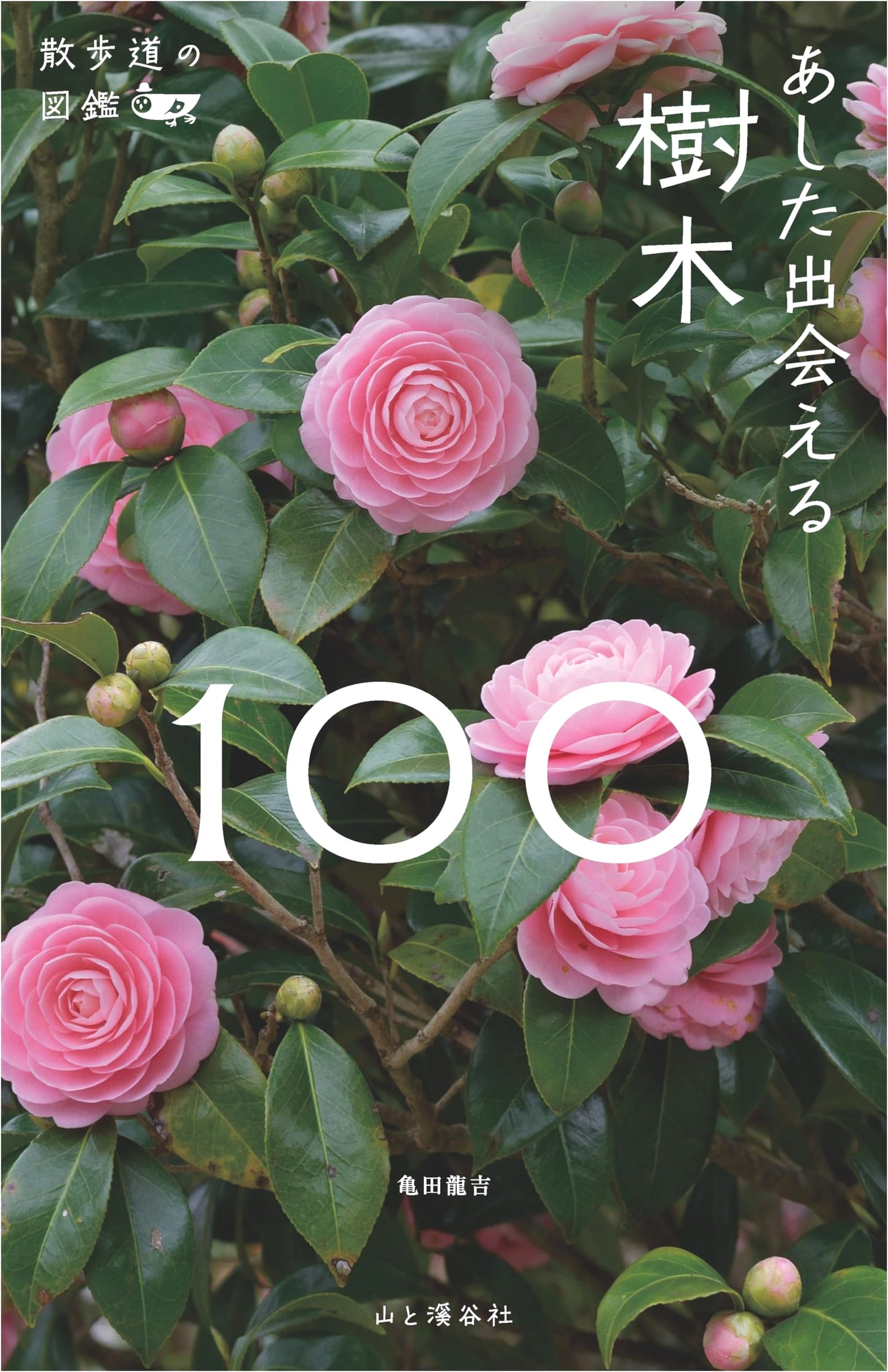 The Walking Path Field Guide: 100 Trees to Discover Tomorrow