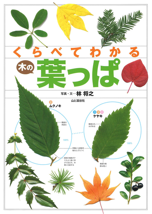 Compare and Understand Tree Leaves: 550 Types Clearly Identified at a Glance!