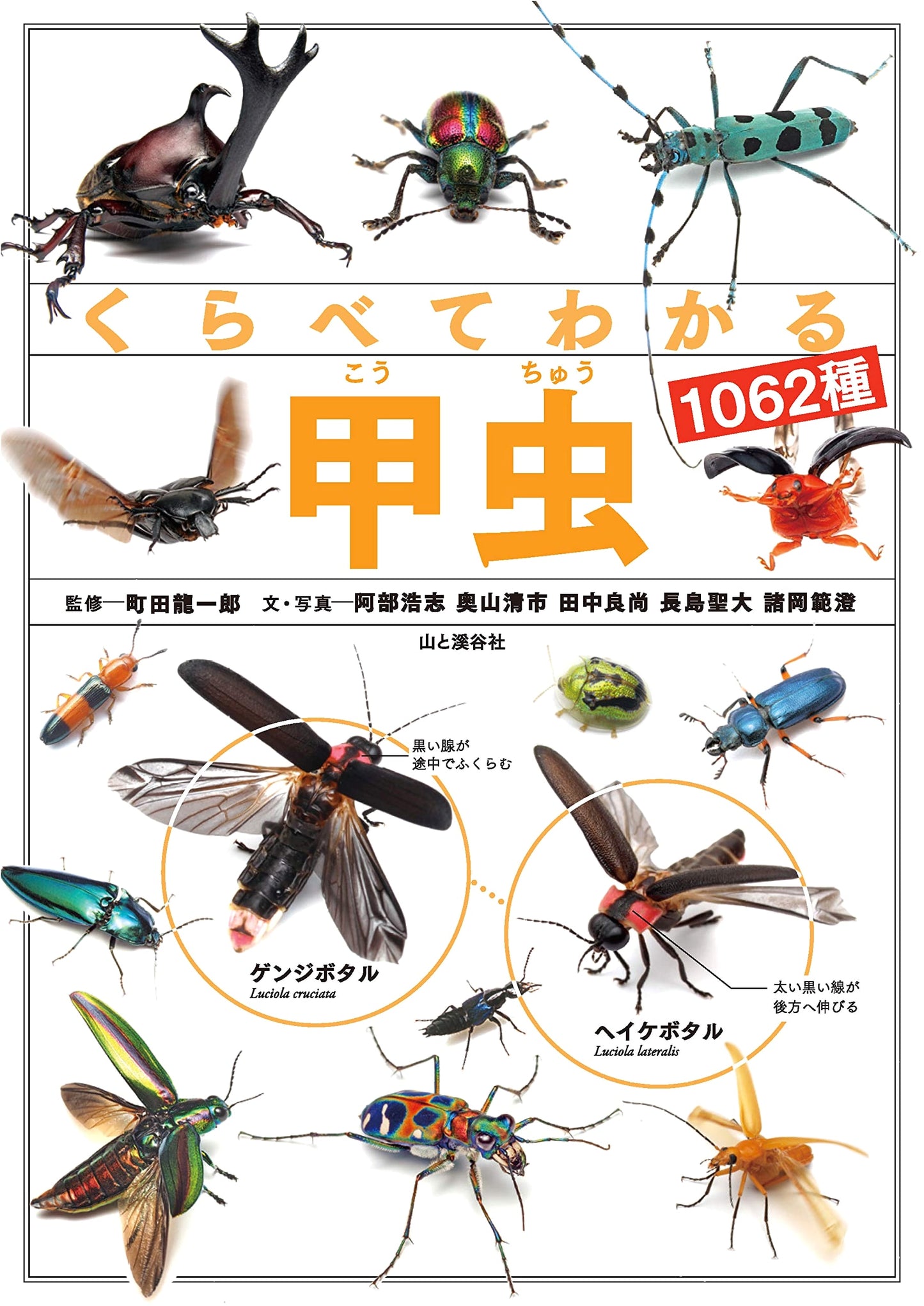 Compare & Discover: 1062 Beetle Species (Comparative Encyclopedia)