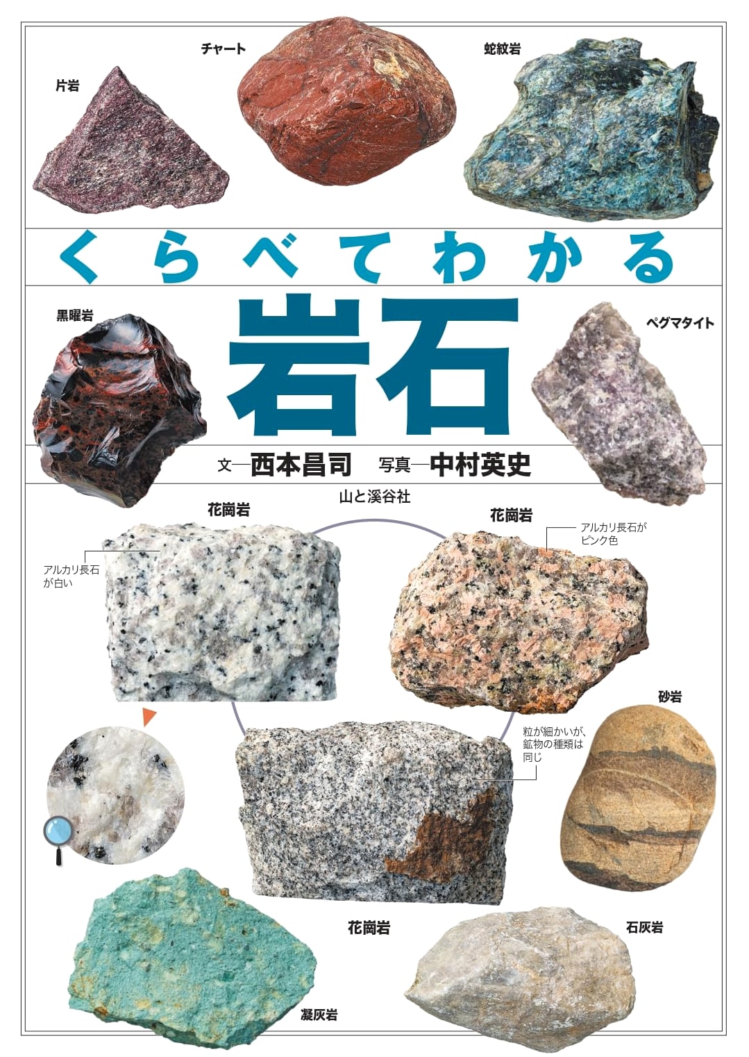 Comparing Rocks: A Visual Guide by Shoji Nishimoto