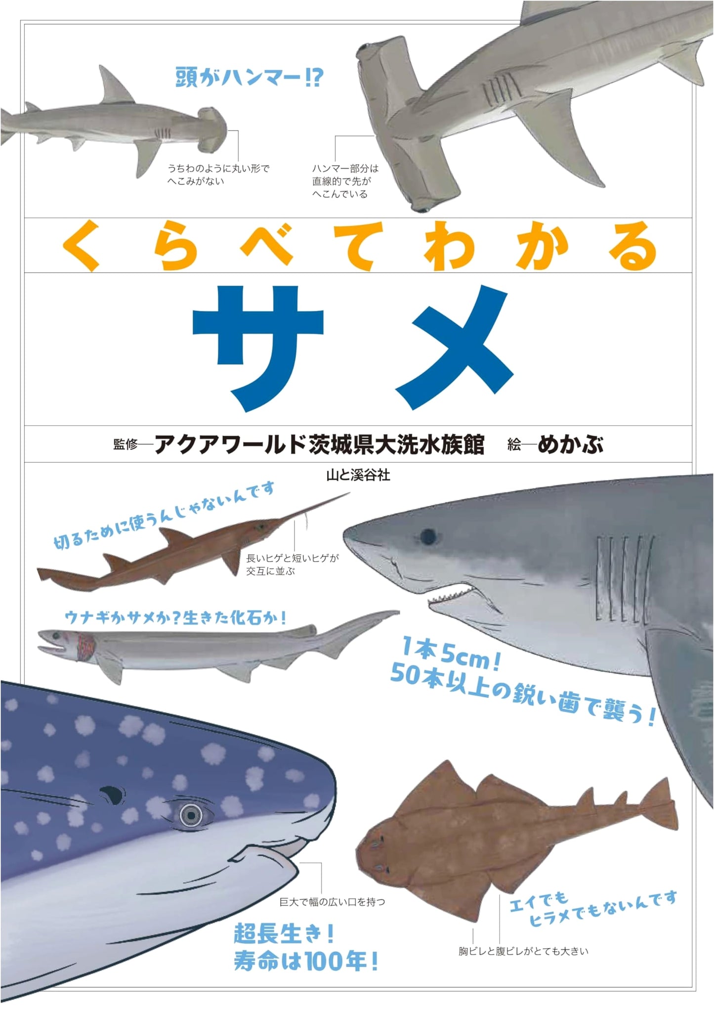Compare and Understand Sharks (Compare and Understand Picture Books)