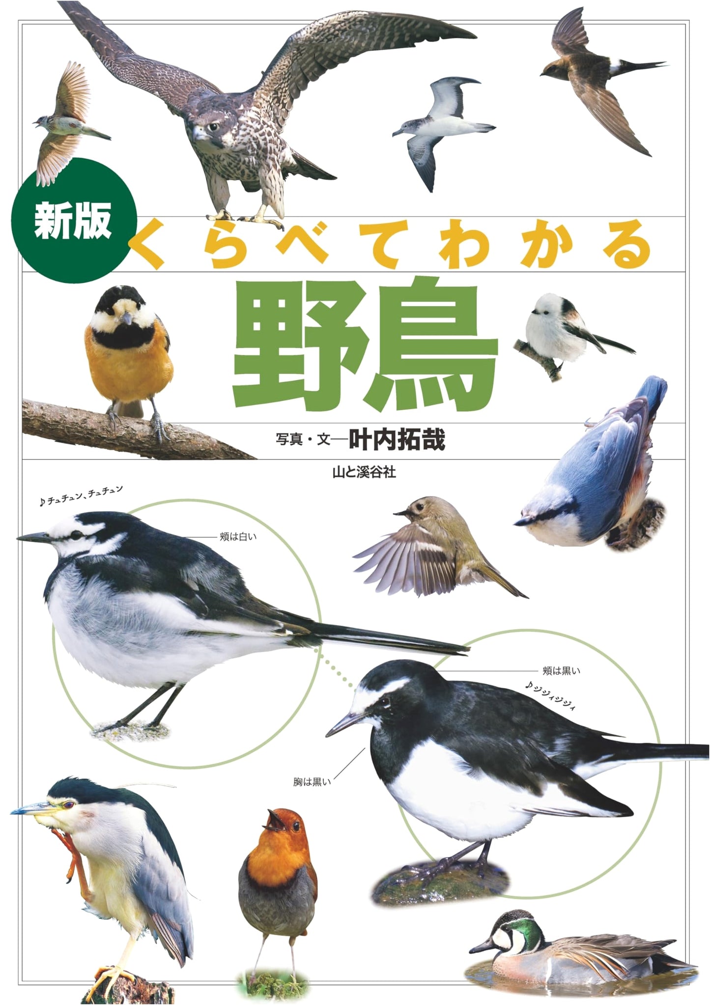 New Edition: Compare & Understand Wild Birds (Comparative Encyclopedia)