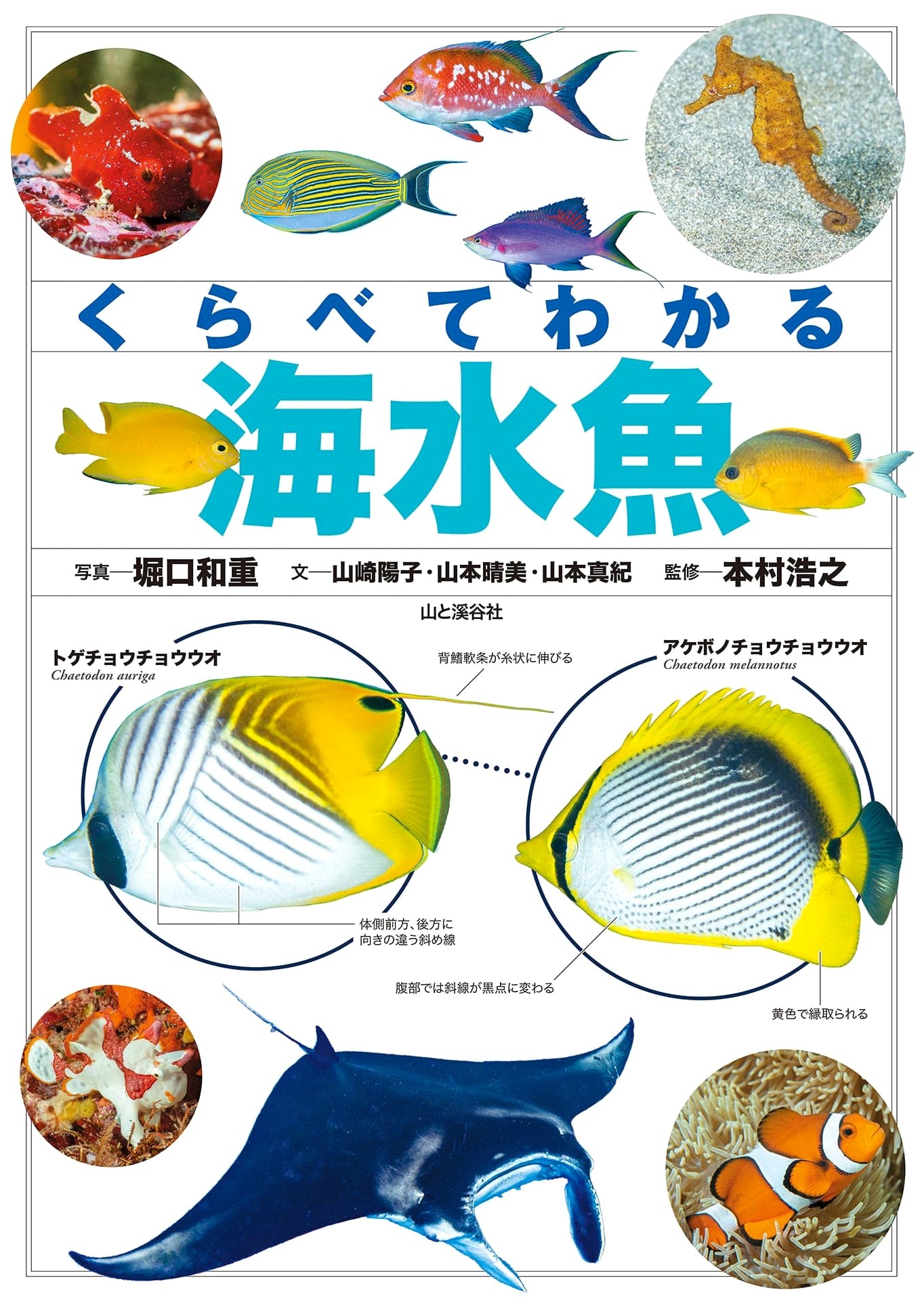 Comparative Guide to Seawater Fish