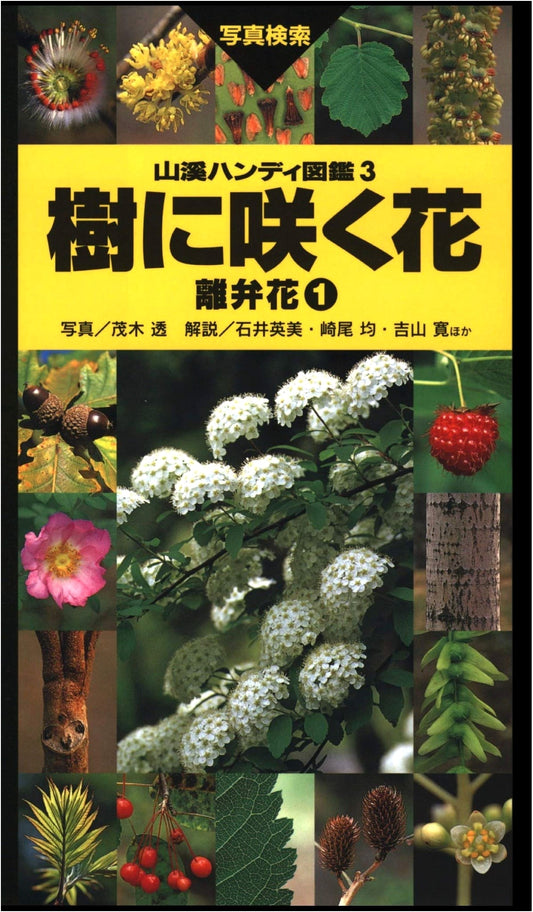 Flowers on Trees: Polypetalous Flowers Vol. 1 (Yama-Kei Handy Field Guide)