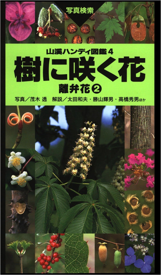 Flowers on Trees: Choripetalous Flowers Vol. 2 (Yamakei Handy Guide Series)