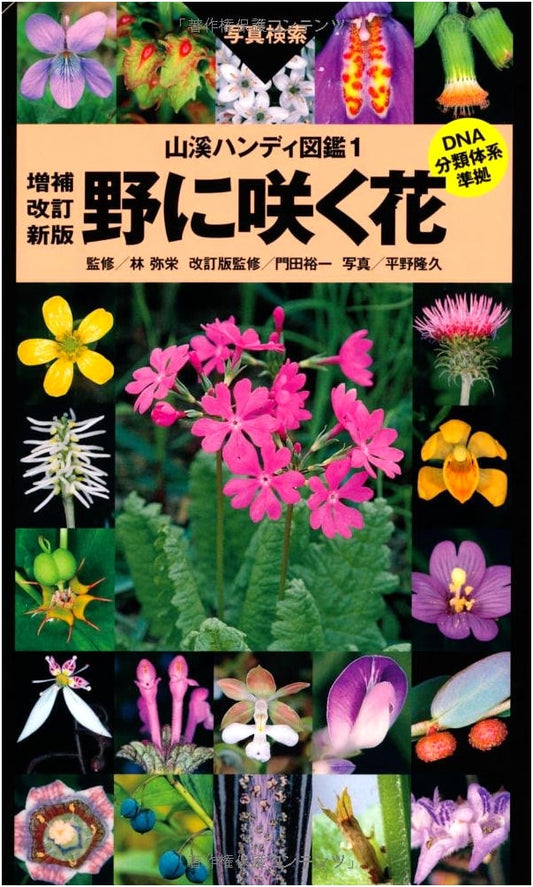 Wildflowers: Enlarged & Revised New Edition (Yama-kei Handy Guidebook)