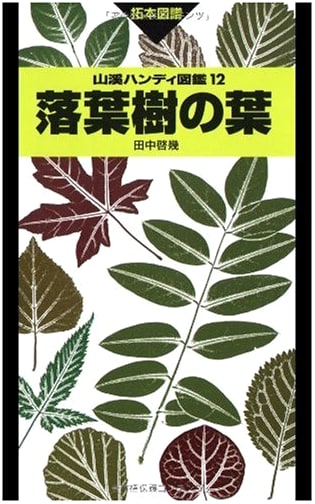 Leaves of Deciduous Trees (Yamakei Handy Field Guide)
