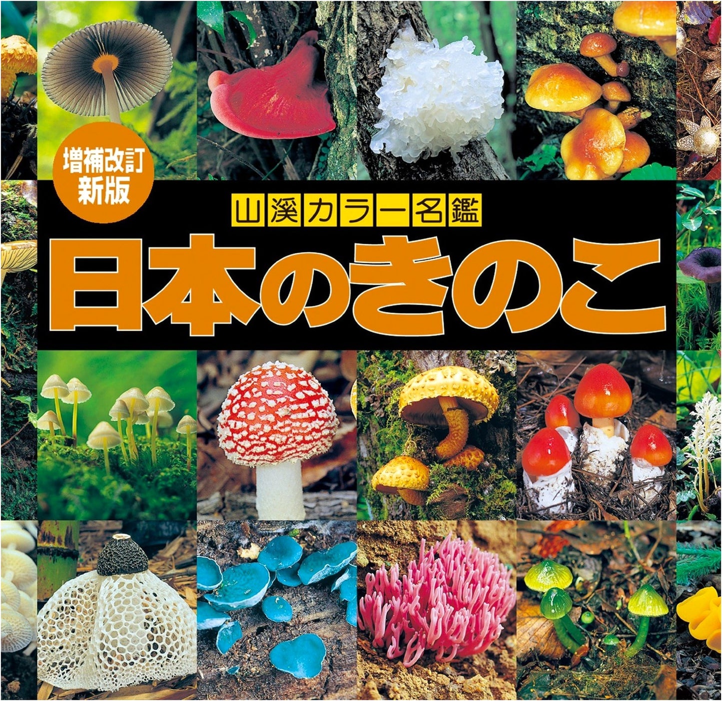 New Revised Edition: Mushrooms of Japan (Yamakei Color Encyclopedia)