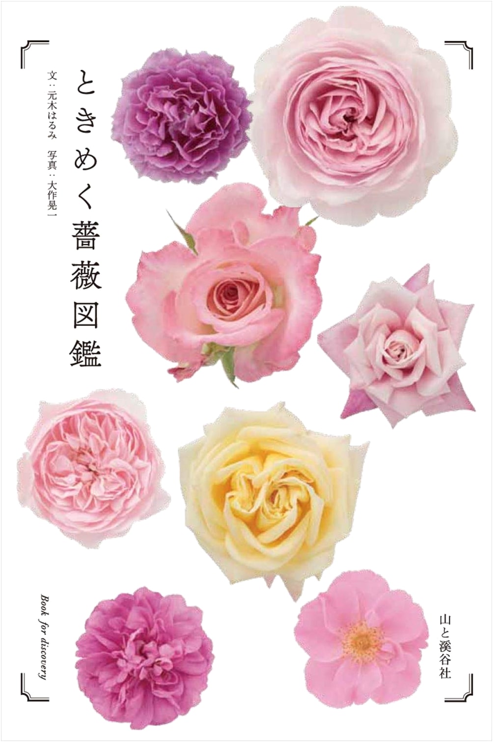 Heart-Pounding Rose Picture Book: A Visual Guide to Roses (Book for Discovery)