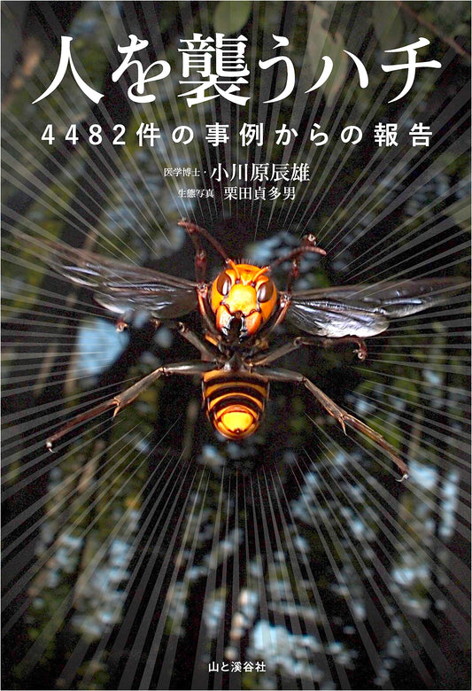Bee/Wasp Attacks on Humans: A Report from 4,482 Incidents