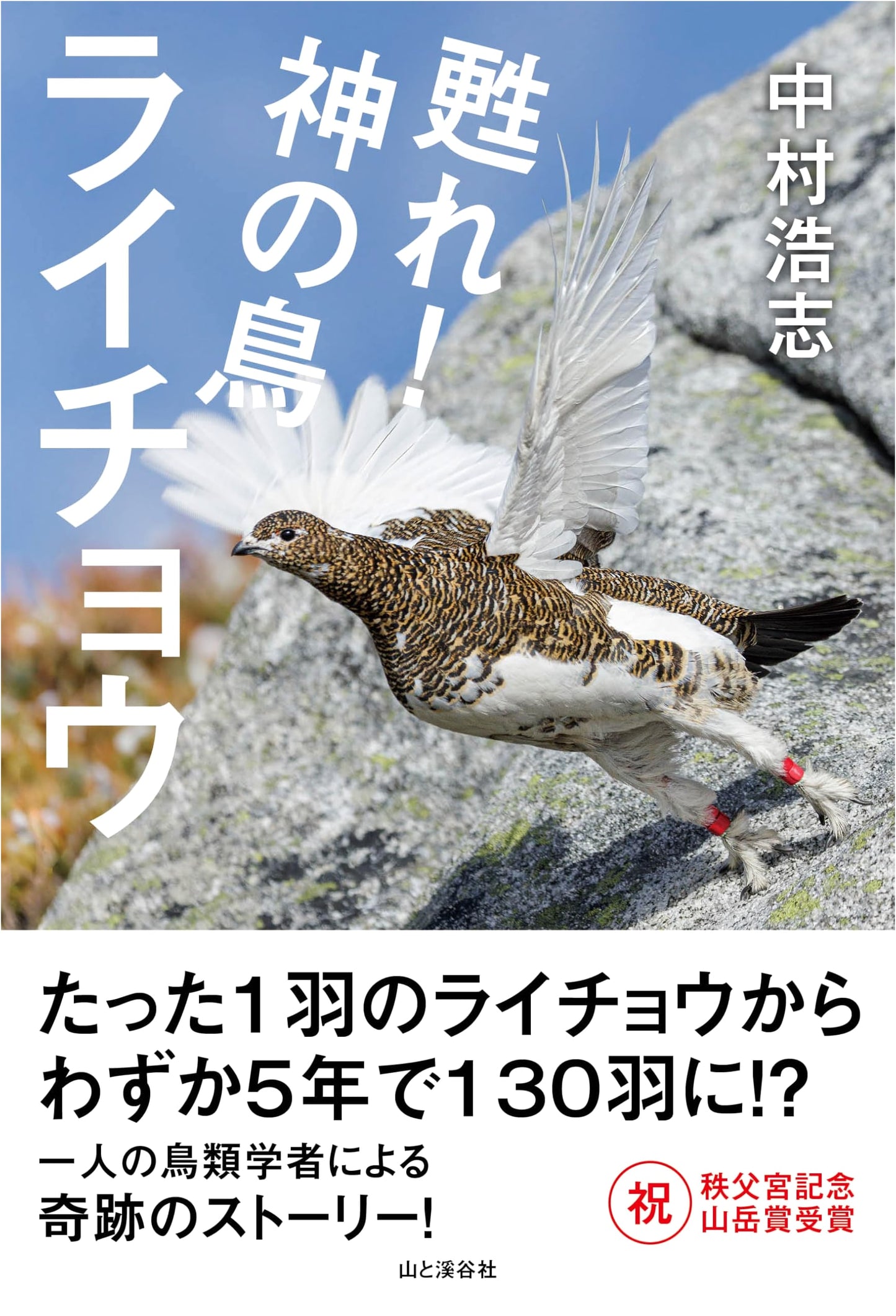 Revive! The Ptarmigan, God's Bird