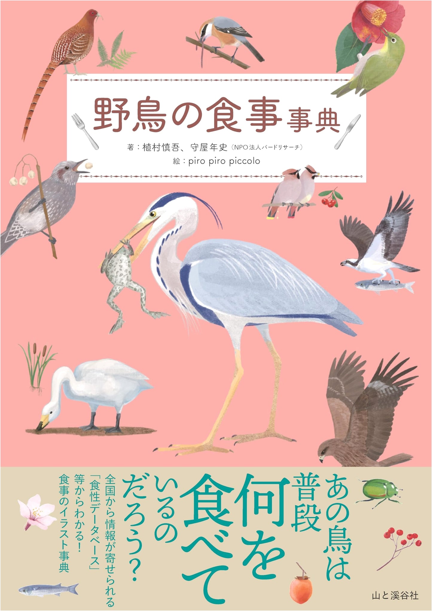 Illustrated Encyclopedia of Wild Bird Diets