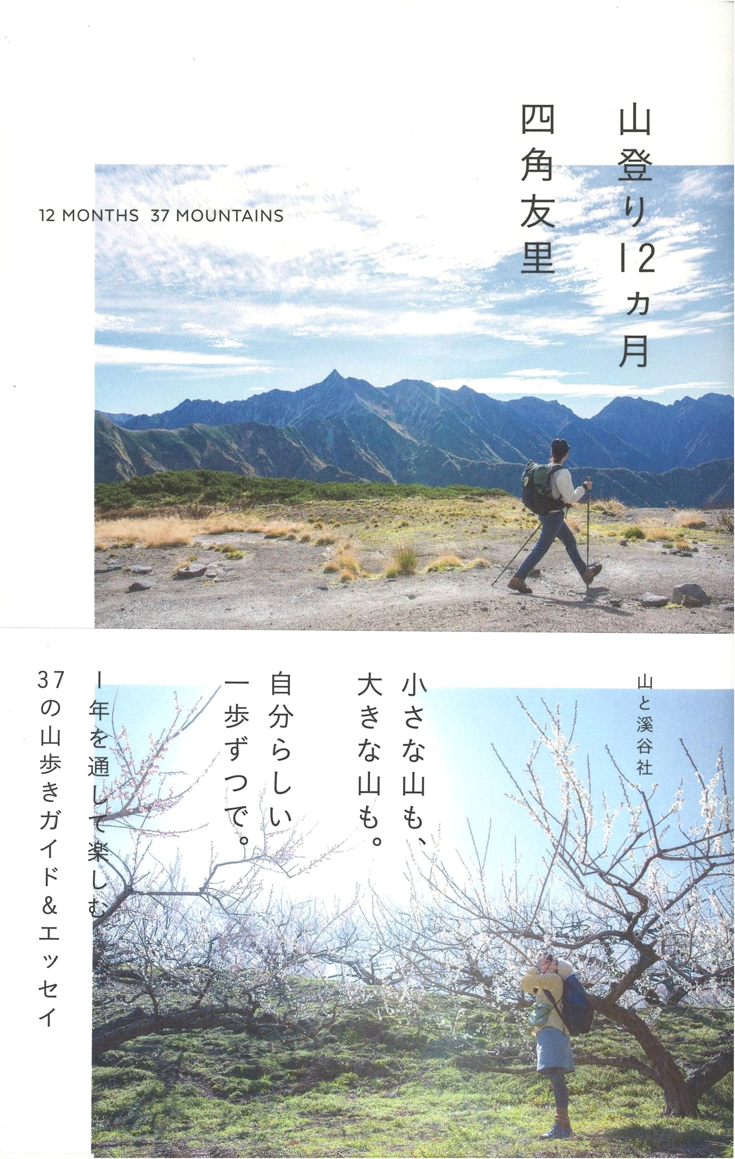 12 Months of Mountain Climbing with Yuri Shikaku