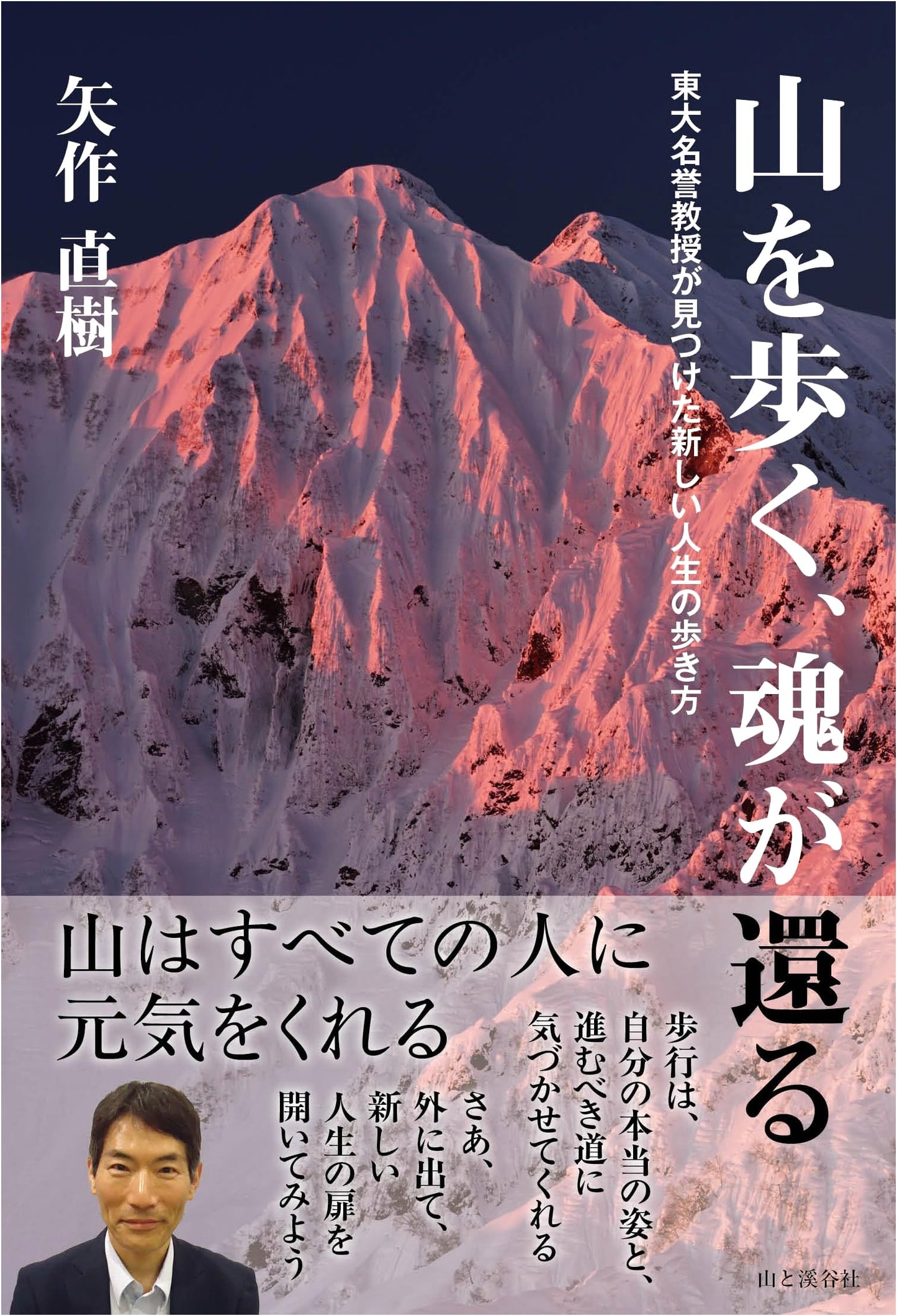 Walking the Mountains, Where the Soul Returns: An Emeritus Professor's Guide to a New Life