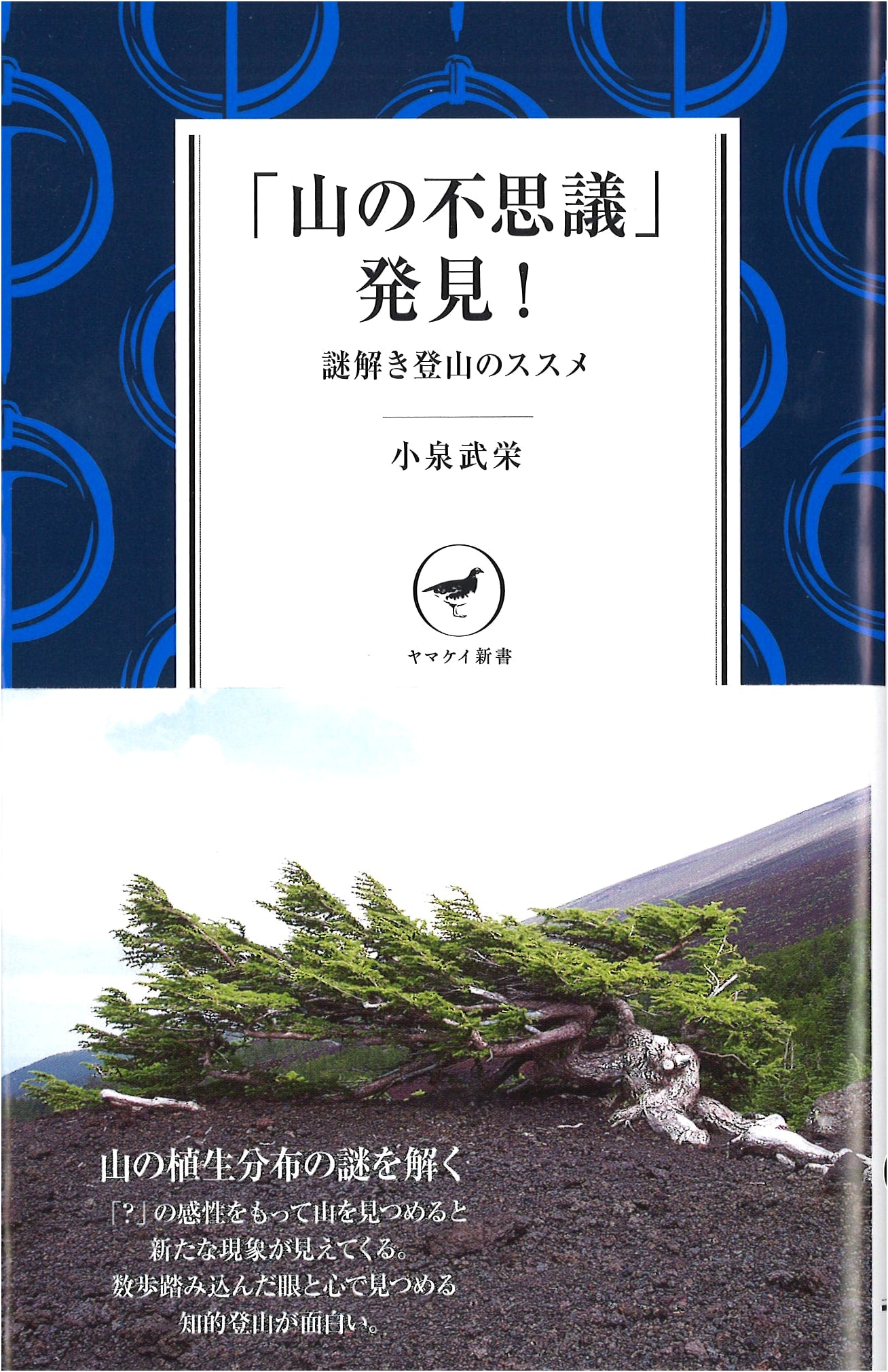 Unveiling Mountain Mysteries: A Guide to Puzzle-Solving Mountain Climbing by Takee Koizumi