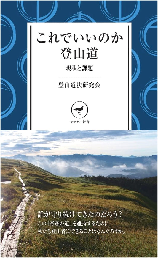 Are Our Mountain Trails Good Enough? Current Status and Challenges