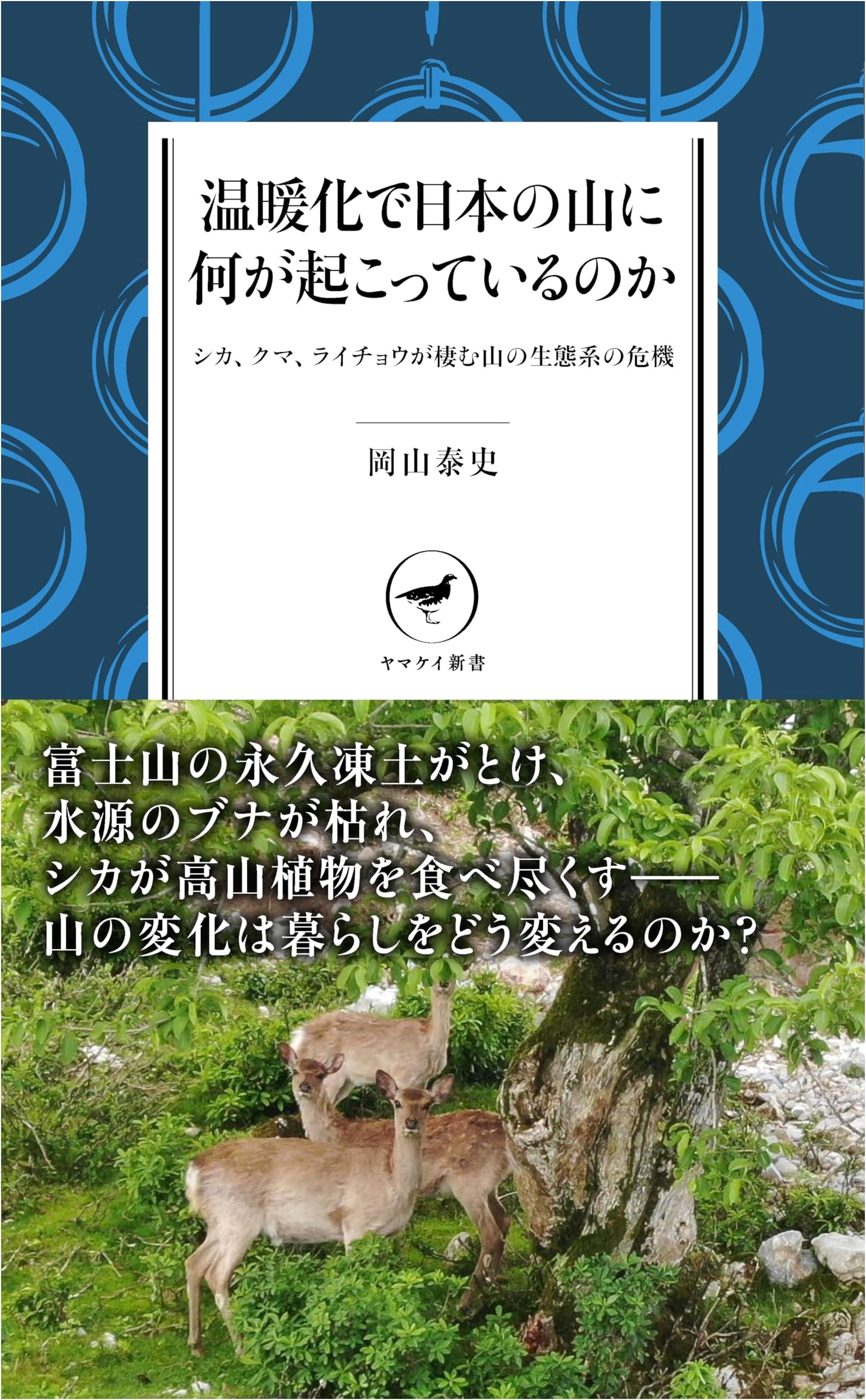 What's Happening to Japan's Mountains Due to Warming? by Yasushi Okayama