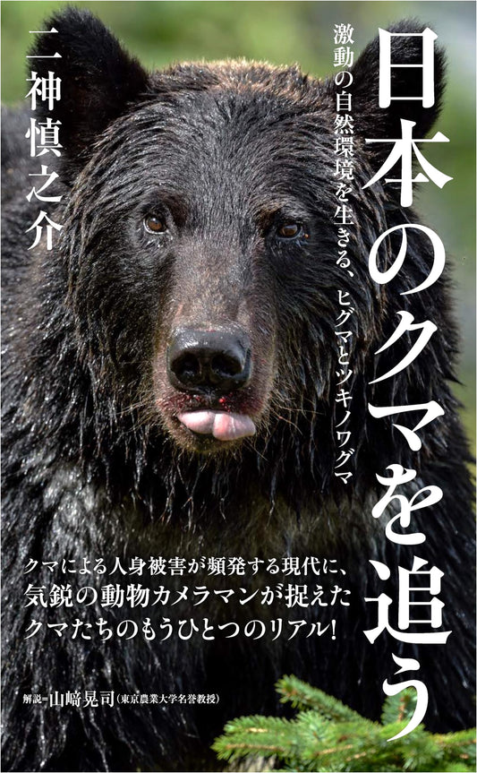 Chasing Japan's Bears: Brown Bears & Asian Black Bears in a Turbulent Environment