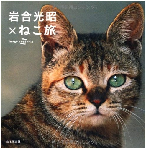 Mitsuaki Iwago's Cat Journey