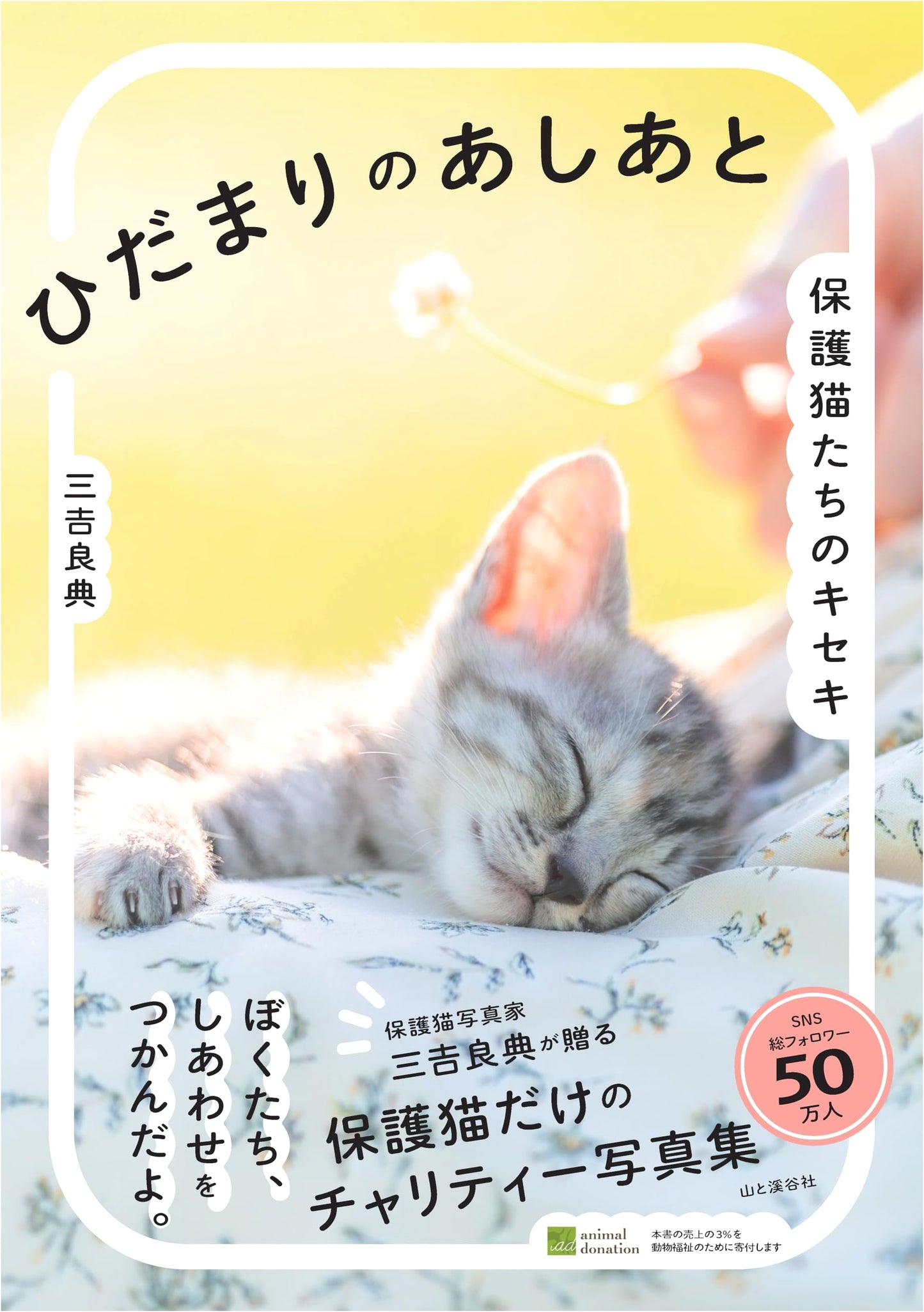 A Sunny Footprint: The Miracle of Rescued Cats by Yoshinori Miyoshi