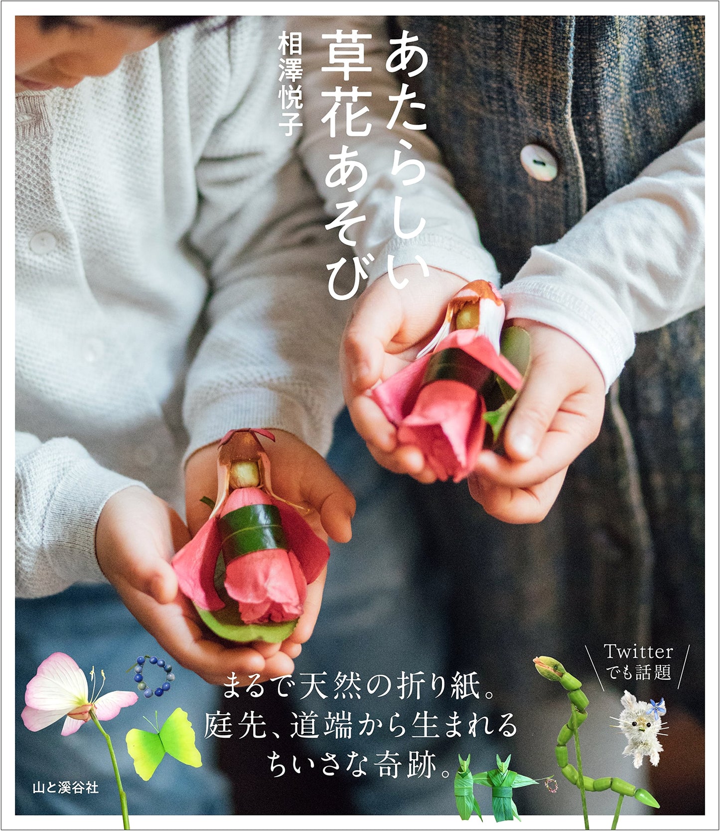 New Flower & Plant Activities: Fun with Nature