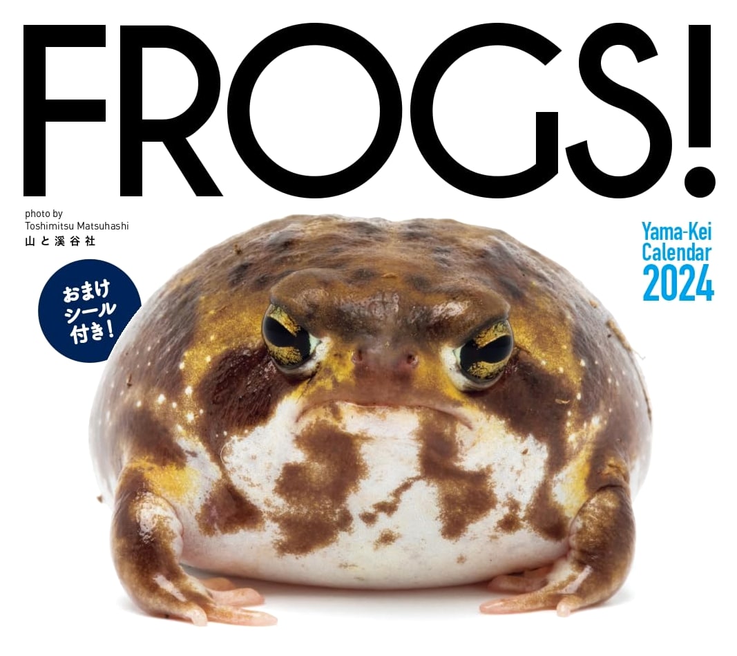 2024 FROGS! Wall Calendar (Monthly Flip) - Yamakei Calendar 2024