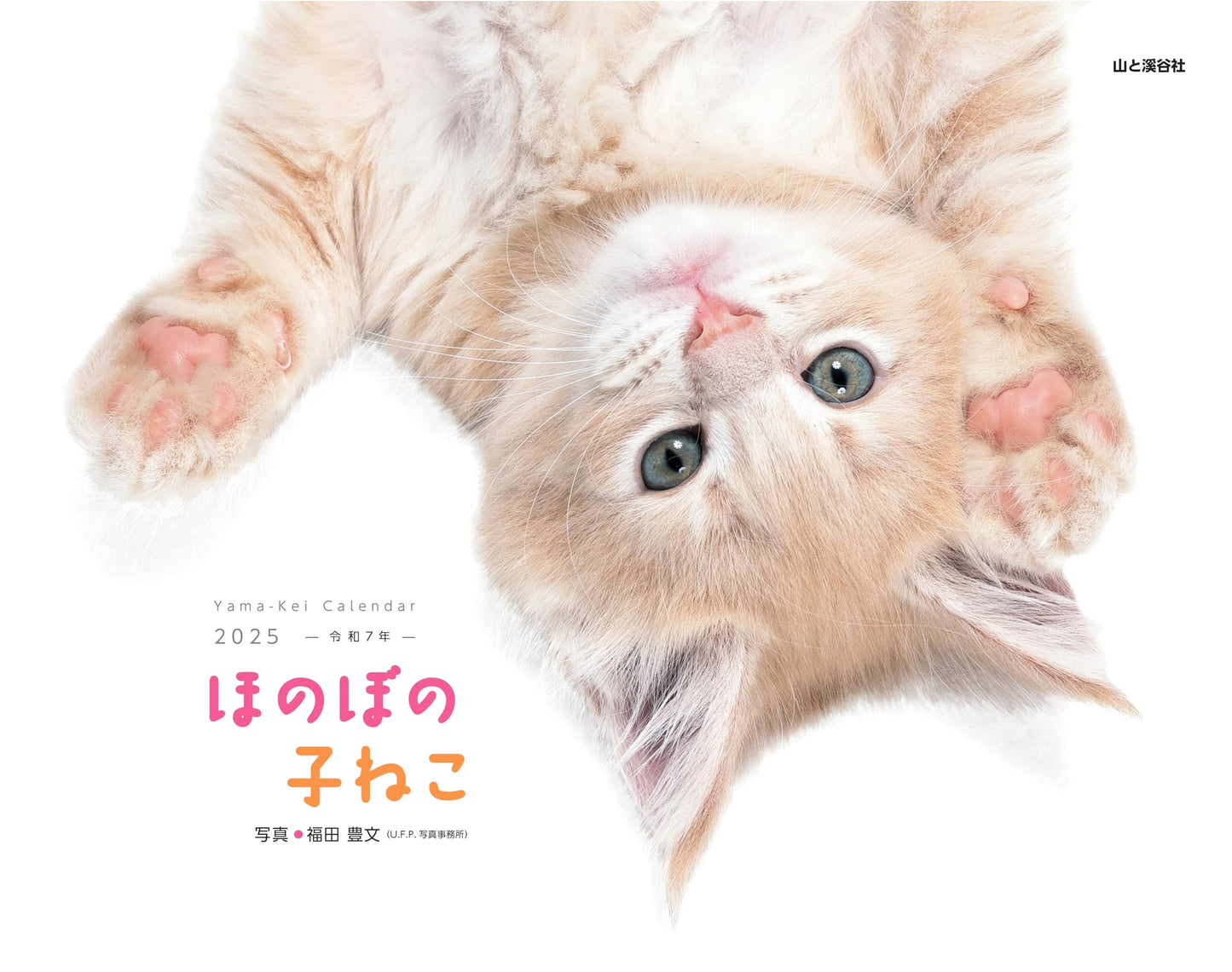 2025 Calendar: Heartwarming Kittens (Monthly/Wall-Mounted) (Yamakakei Calendar 2025)