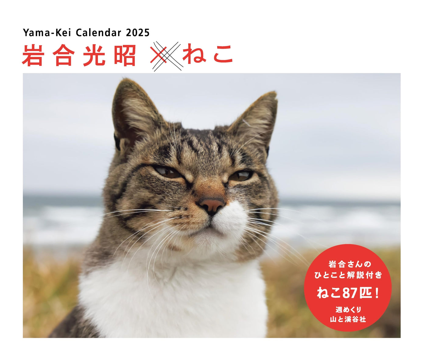 Mitsuaki Iwaago x Cats 2025 Weekly Desktop Ring-bound Calendar