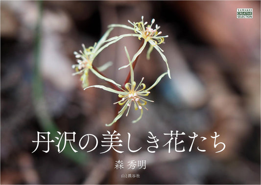 Beautiful Flowers of Tanzawa: Creative Selections by Hideaki Mori