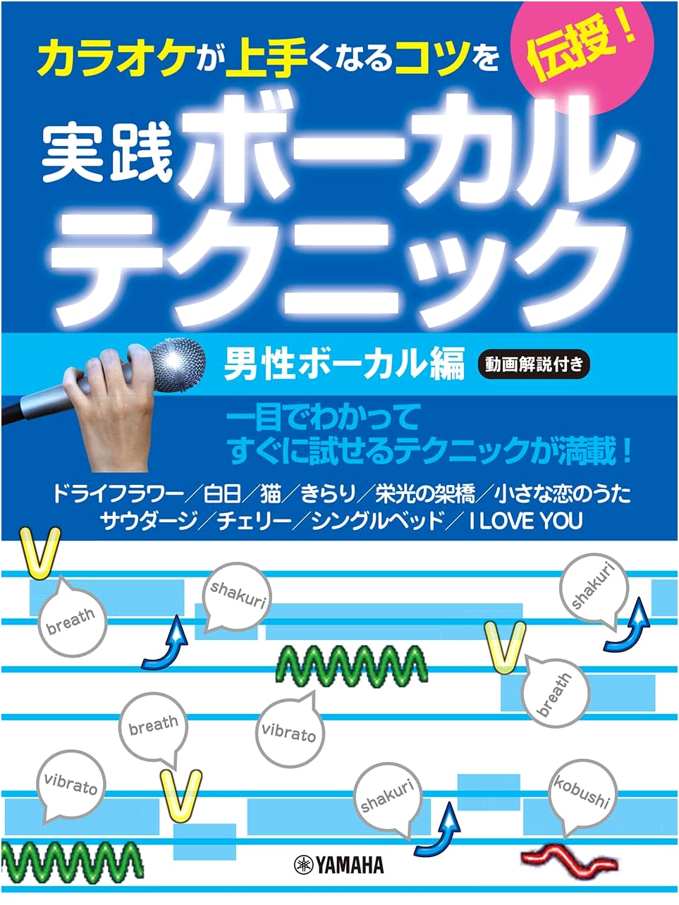 Learn to Master Karaoke: Practical Vocal Techniques for Men (with Video)
