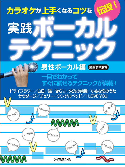 Learn to Master Karaoke: Practical Vocal Techniques for Men (with Video)