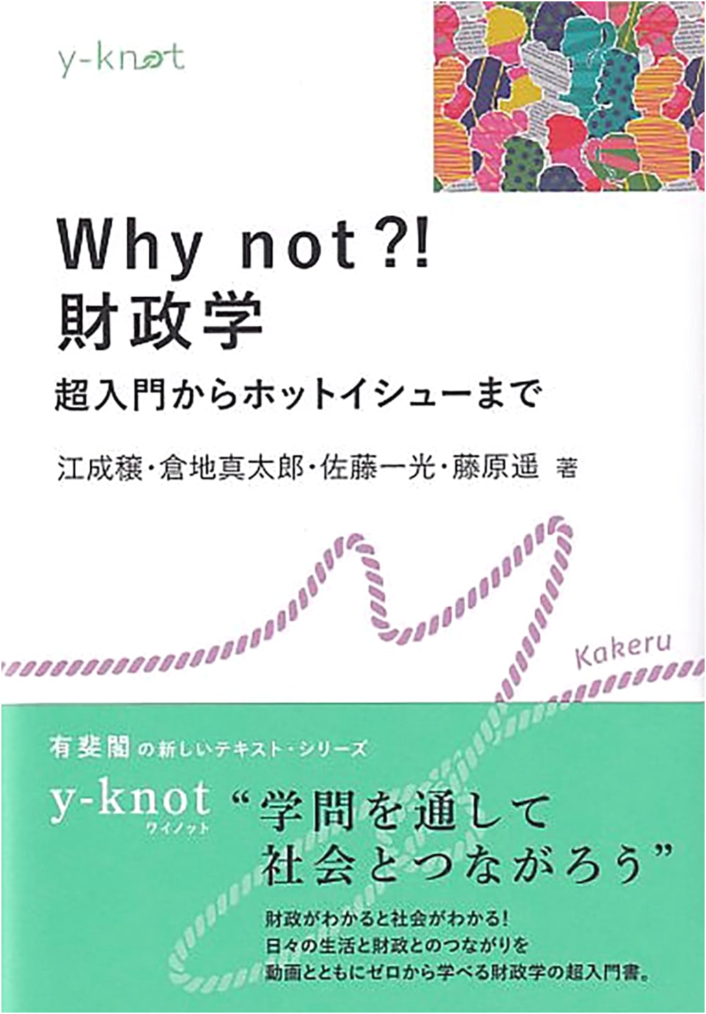 Why Not?! Public Finance: From Beginner Basics to Hot Issues (y-knot)