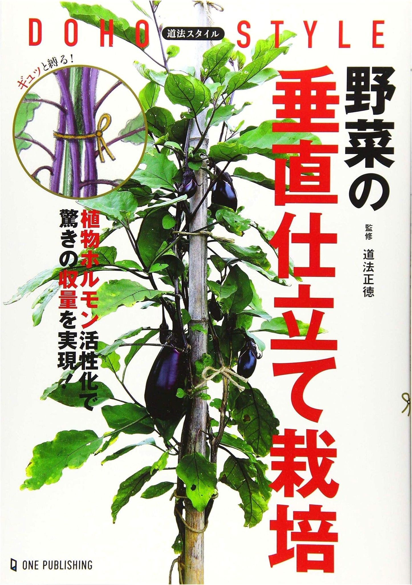 Michinori Style: Vertical Cultivation of Vegetables