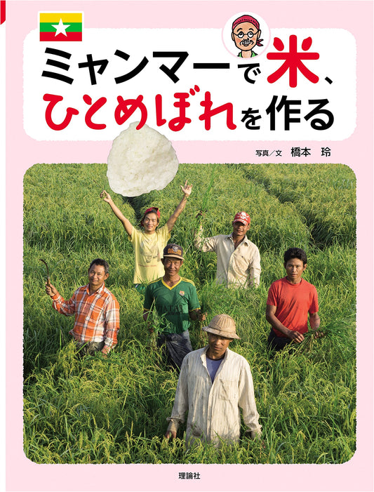 Cultivating Hitomebore Rice in Myanmar: Japan Around the World Series