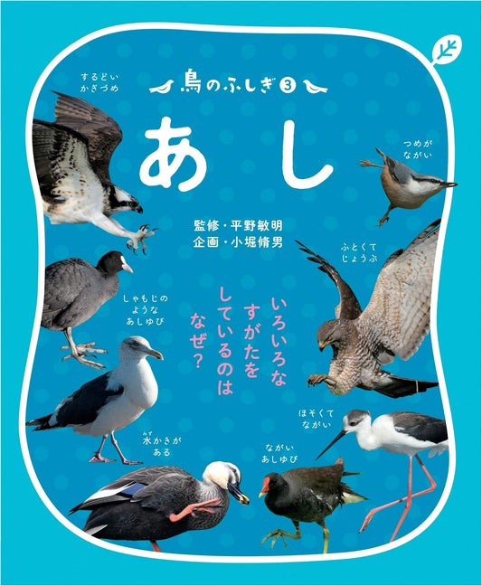 The Wonders of Birds 3: Legs - Why So Many Forms?