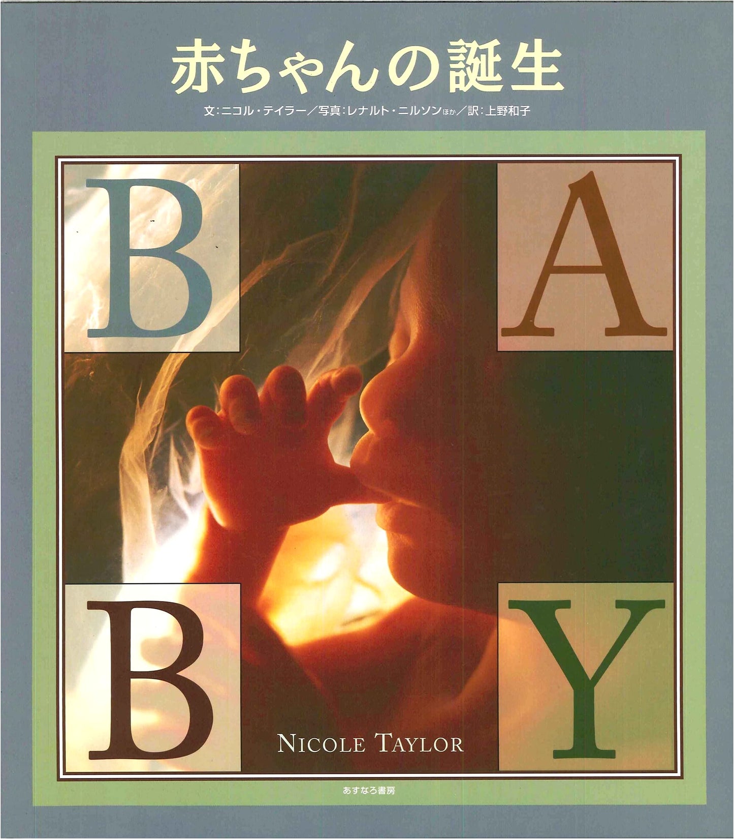 The Birth of Baby by Nicole Taylor