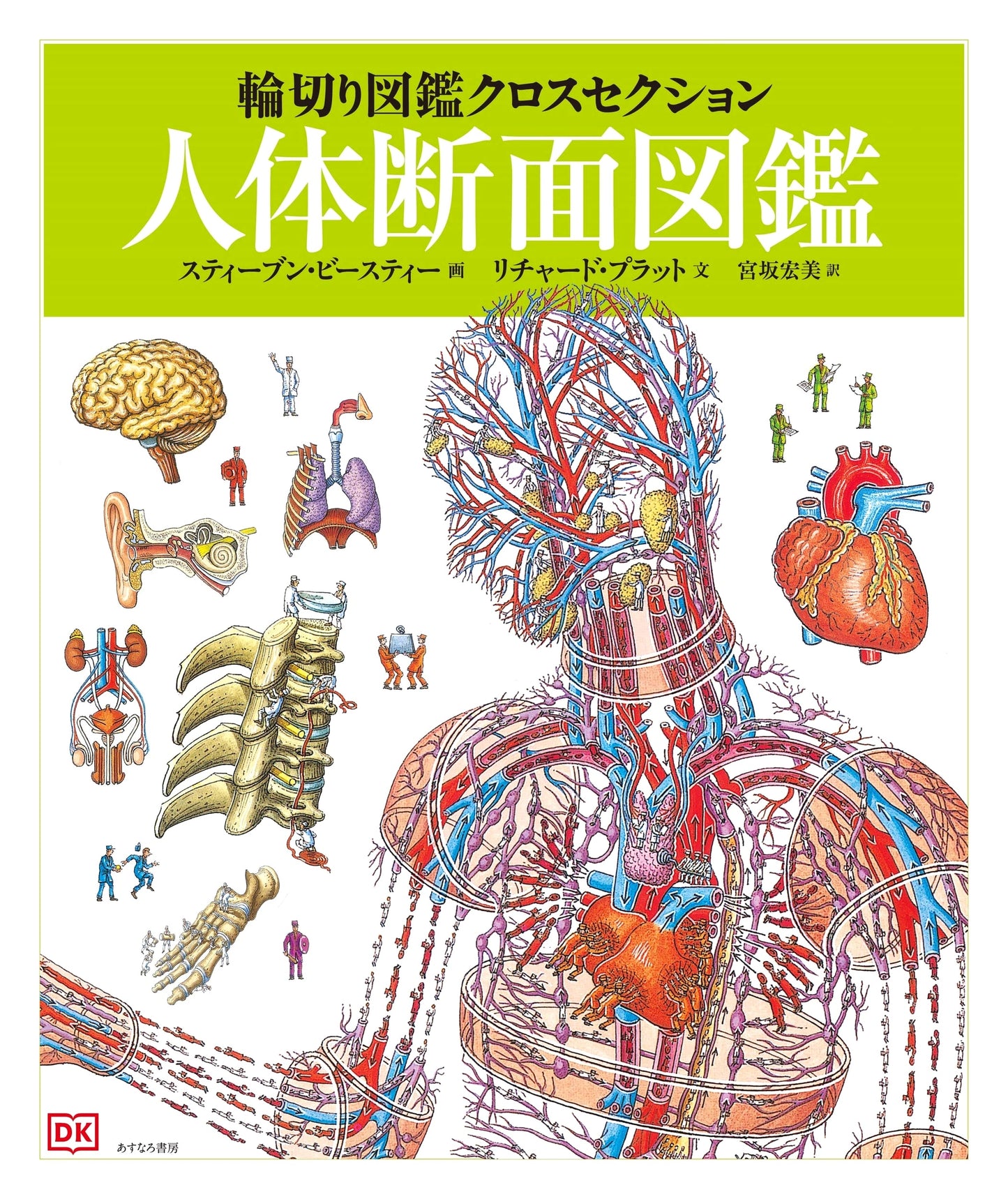 Human Body Cross-Section Illustrated Encyclopedia (Cross-Section Encyclopedia 3)