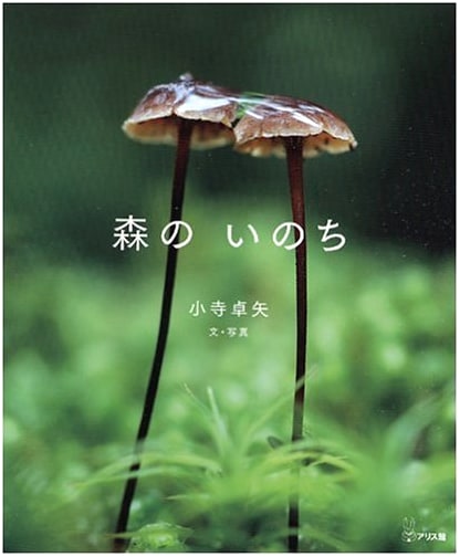 Life of the Forest by Takuya Kodera