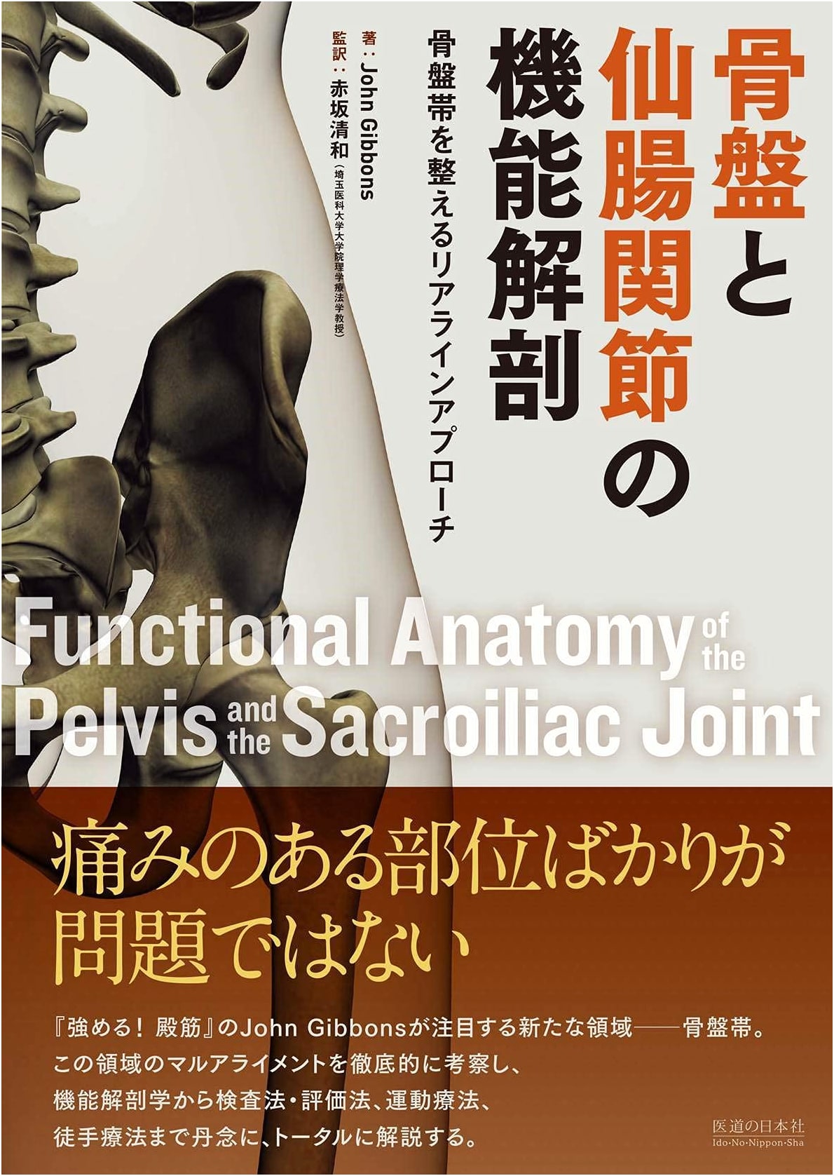 Functional Anatomy of the Pelvis & Sacroiliac Joint: Realign Approach to Pelvic Girdle