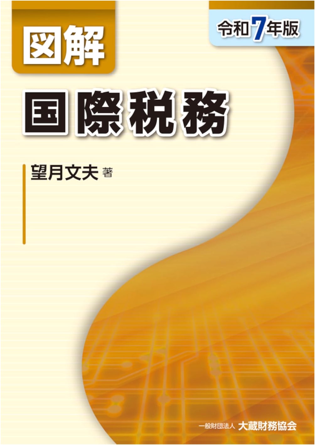 Illustrated Guide to International Taxation (2025 Edition)
