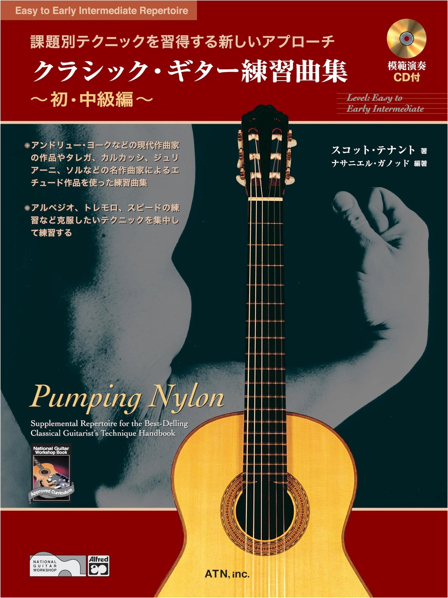 A New Approach to Mastering Classic Guitar Practice: Beginner/Intermediate Etudes (with CD)
