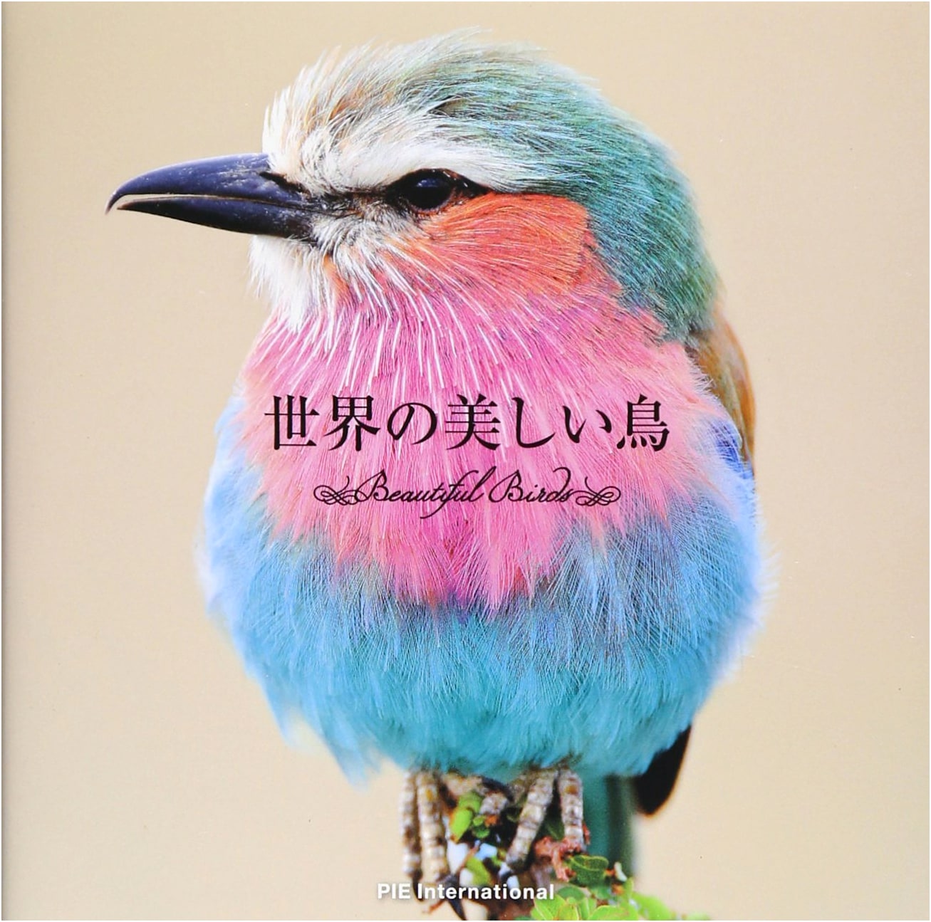 The World's Beautiful Birds