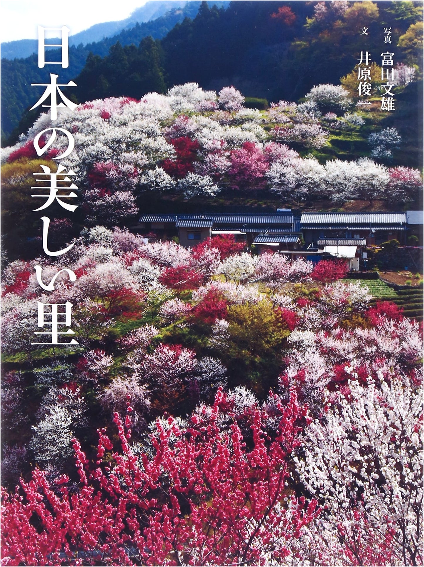 Beautiful Villages of Japan
