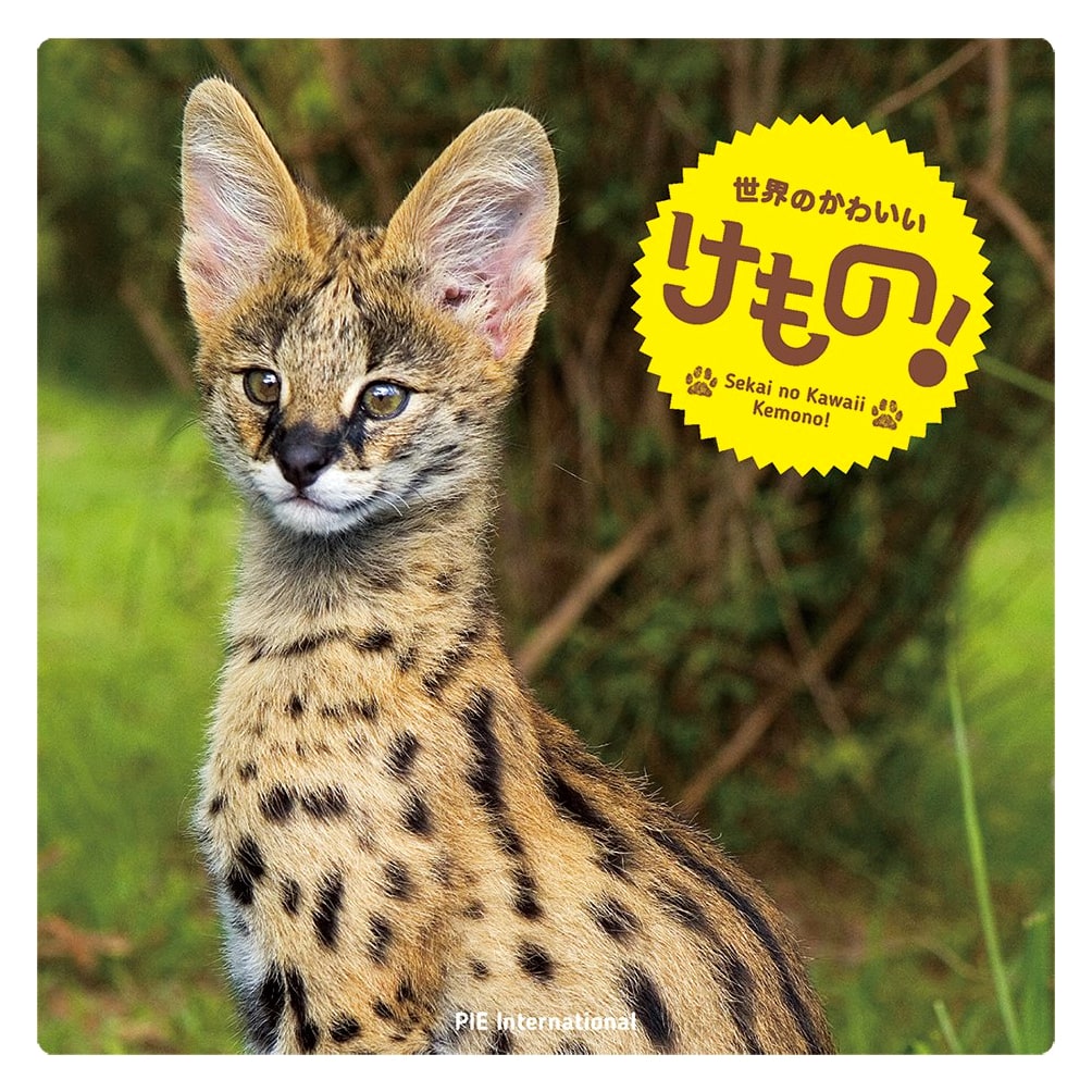 The World's Cutest Creatures!